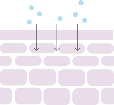 Skin Illustration